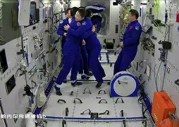 2024老外克里斯视频