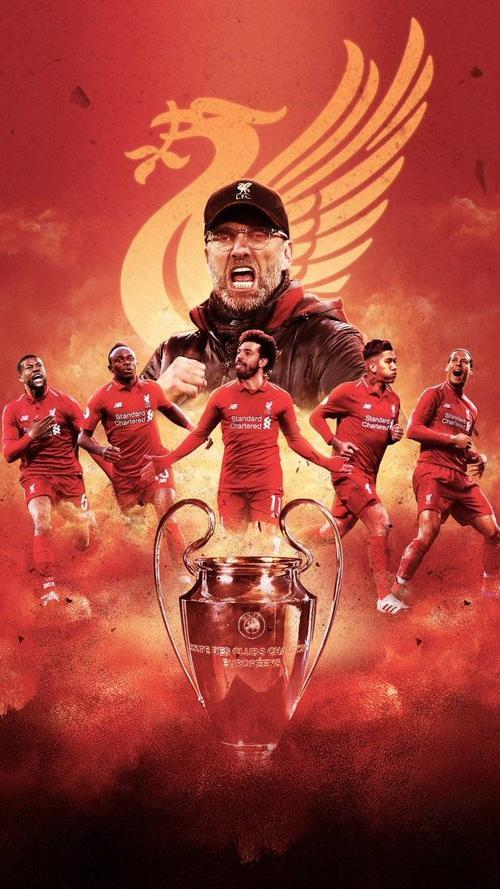 开云体育网址-利物浦马蒂普图片